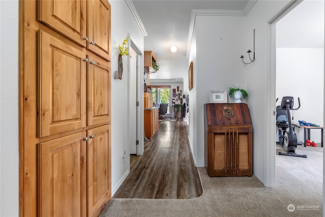 corridor with ornamental molding and dark carpet