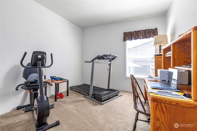 exercise area featuring light carpet