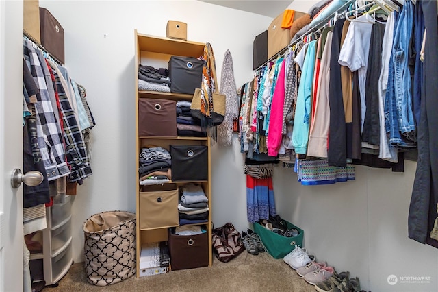 walk in closet with carpet floors