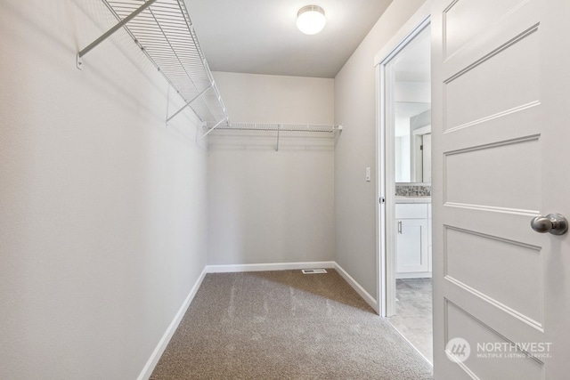 spacious closet with light colored carpet