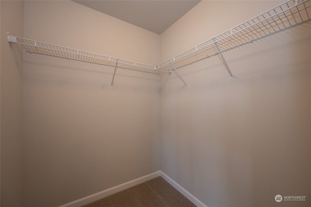 spacious closet with carpet flooring