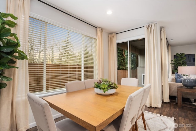 dining room with dark hardwood / wood-style flooring