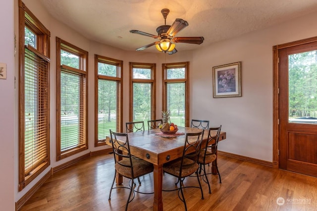 dining space with hardwood / wood-style floors, a textured ceiling, ceiling fan, and a healthy amount of sunlight