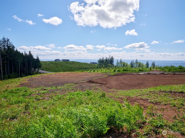 230 Manzanita Dr, Kalama WA, 98625 land for sale