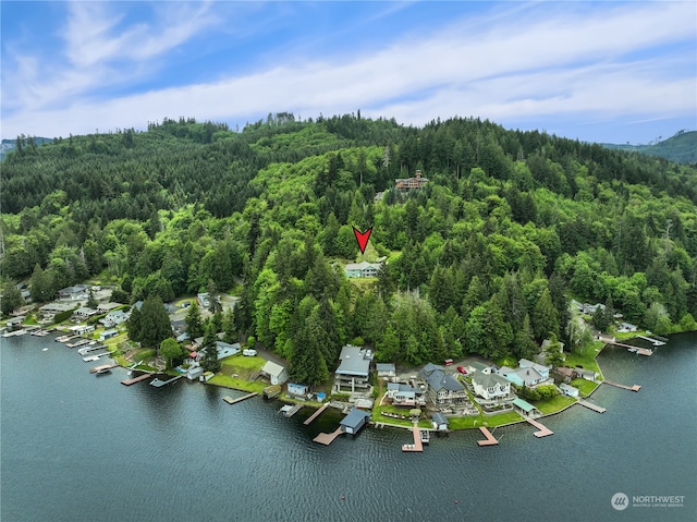 aerial view featuring a forest view and a water view