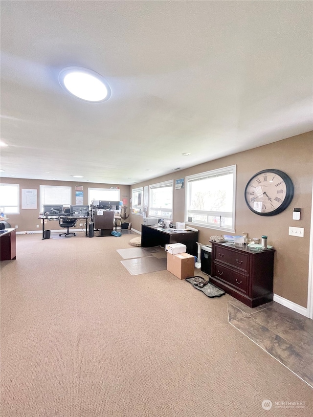 view of carpeted living room