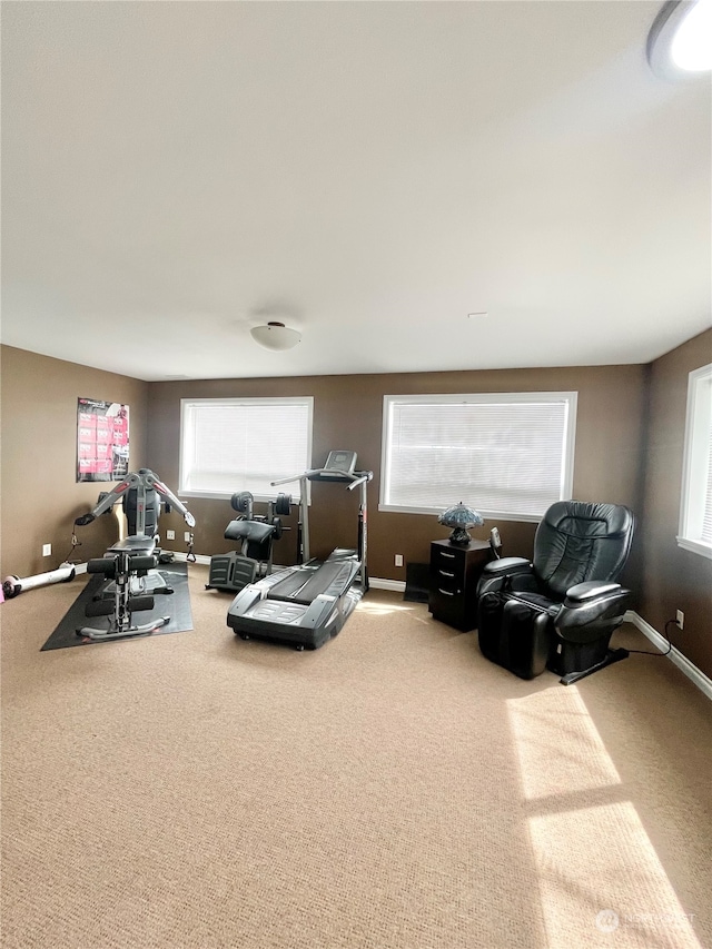 view of carpeted living room