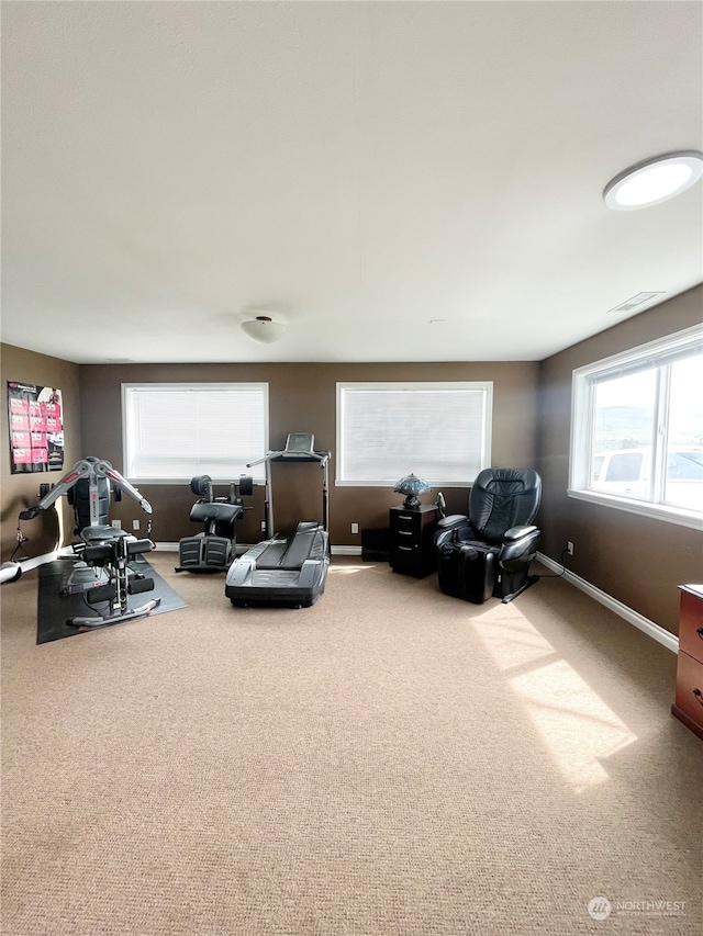 carpeted living room with plenty of natural light