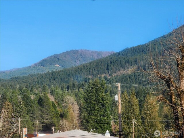 112 Combs Rd, Packwood, WA 98361 - mountain view featuring a forest view