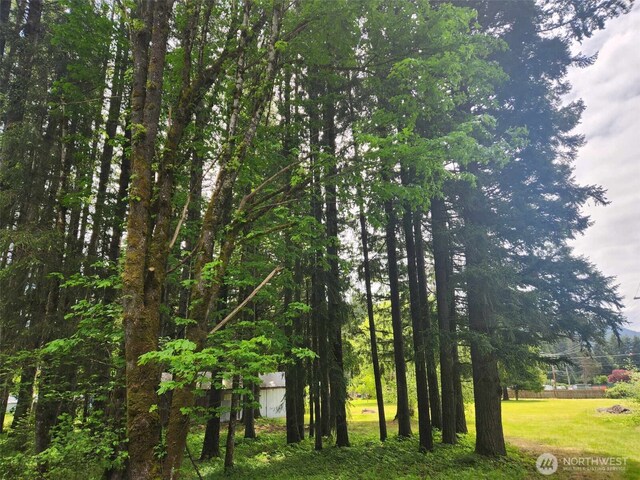 112 Combs Rd, Packwood, WA 98361 - view of nature