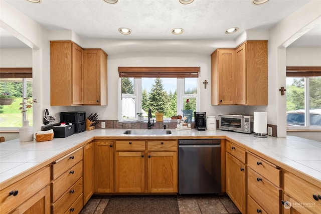 kitchen featuring dishwasher, a healthy amount of sunlight, and sink