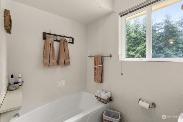 bathroom featuring a wealth of natural light and a washtub