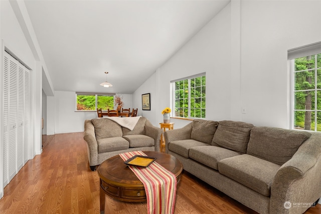 living room featuring light hardwood / wood-style floors and high vaulted ceiling