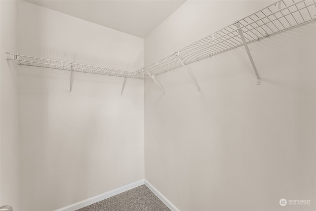 spacious closet featuring carpet