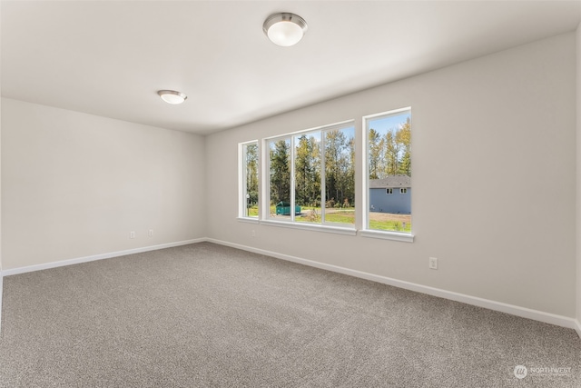 spare room with carpet flooring