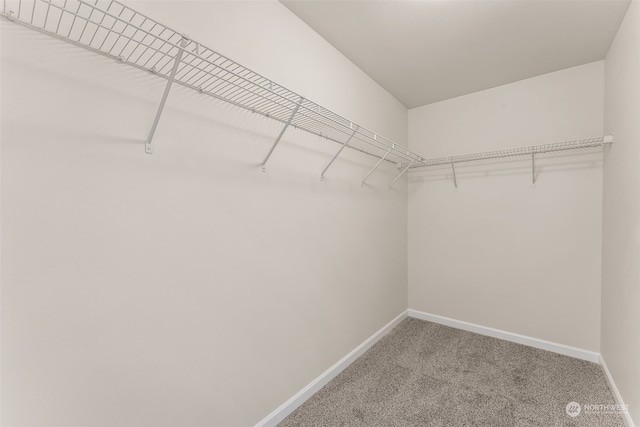 spacious closet with carpet