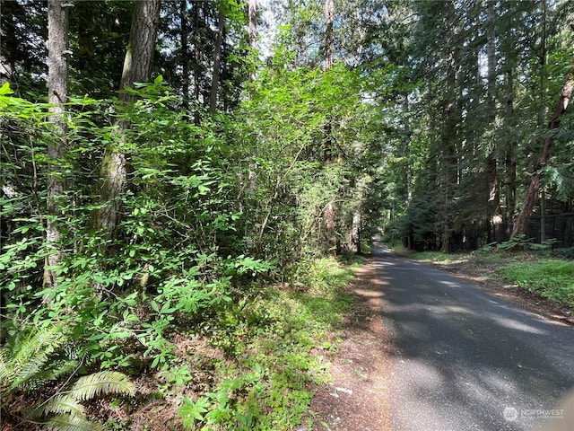 0LOT2 NE Sanwick Pl, Bainbridge Island WA, 98110 land for sale