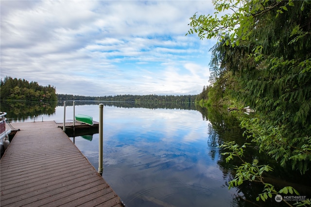 dock area with a water view