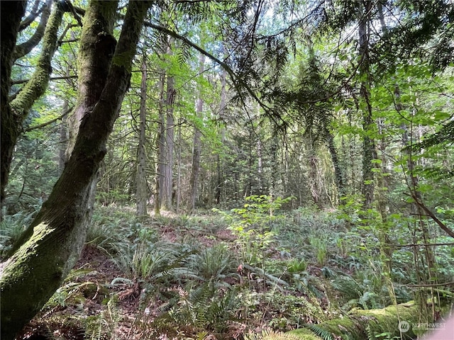 0LOT3 NE Sanwick Pl, Bainbridge Island WA, 98110 land for sale