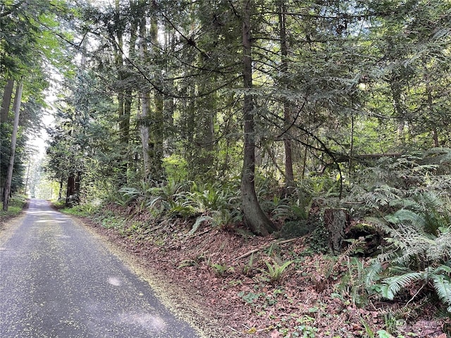 Listing photo 3 for 0LOT5 NE Sanwick Pl, Bainbridge Island WA 98110