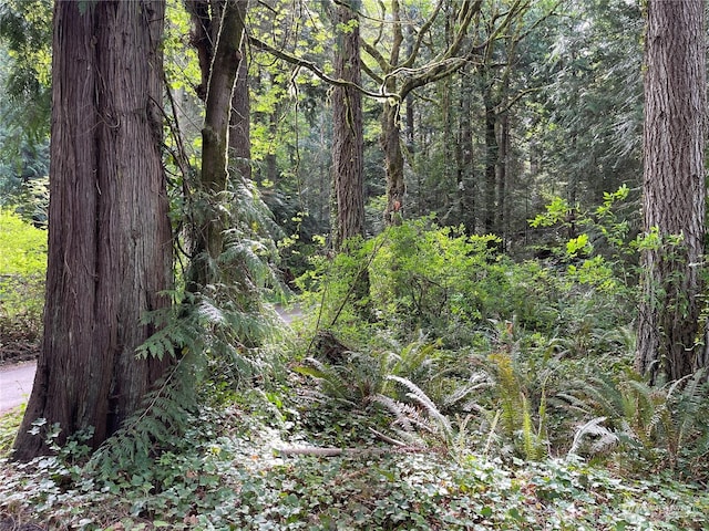 Listing photo 3 for 0LOT7 NE Sanwick Pl, Bainbridge Island WA 98110