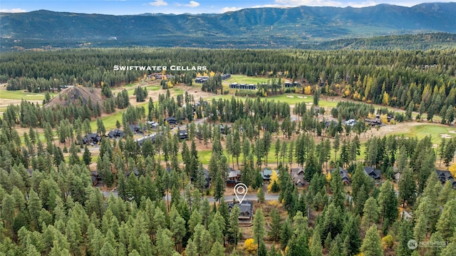 birds eye view of property with a mountain view and a view of trees