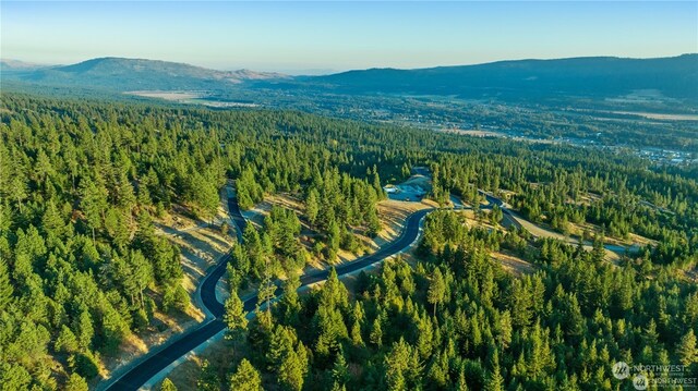 3 Forest Ridge Dr, Cle Elum WA, 98922 land for sale