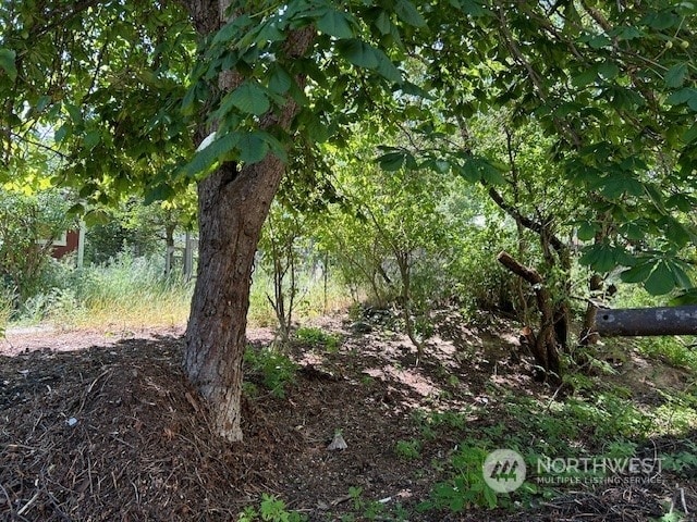 144 4th St, Roslyn, WA 98941 - photo 10