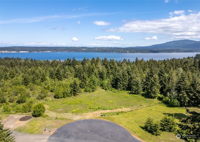 134 Paul Joseph Ter, Sequim WA, 98382 land for sale