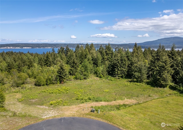 Listing photo 2 for 134 Paul Joseph Ter, Sequim WA 98382