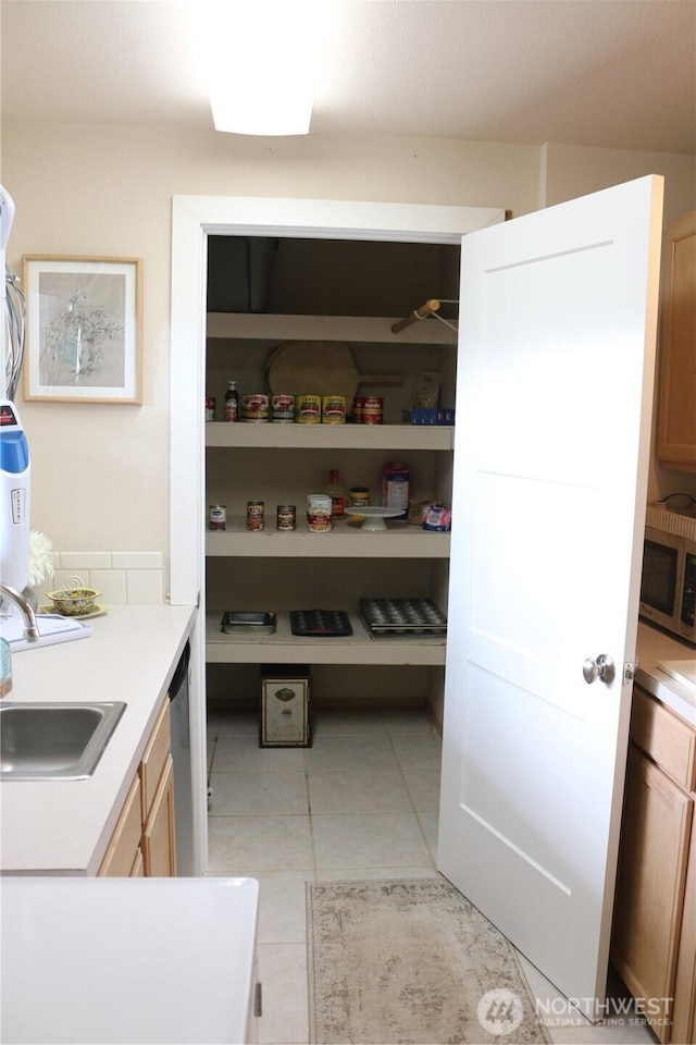 pantry with a sink