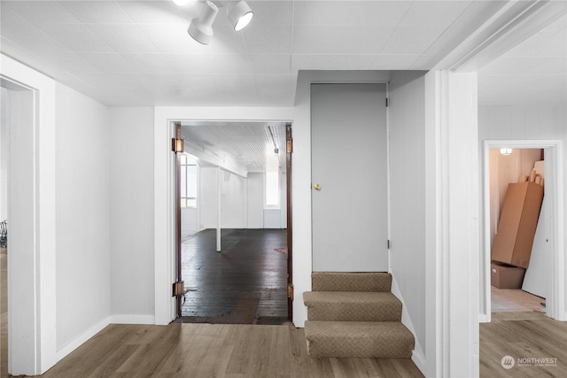 hallway with wood-type flooring