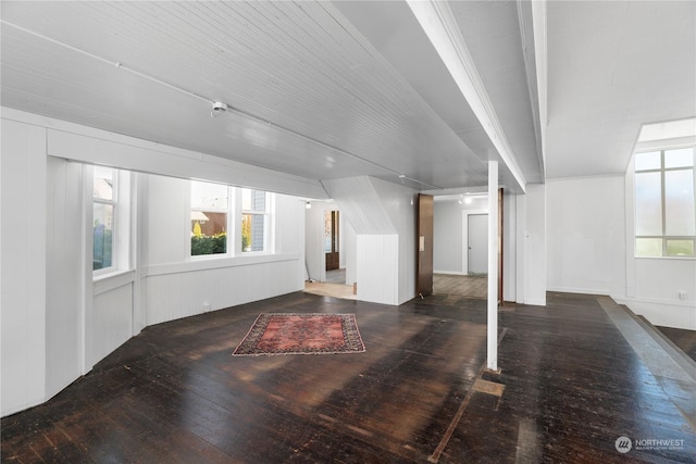 basement featuring dark hardwood / wood-style floors