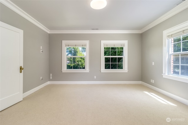 carpeted empty room with ornamental molding