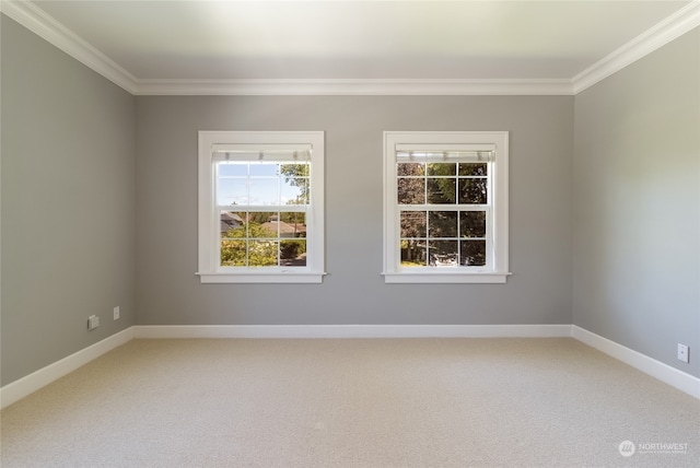 empty room with carpet flooring and crown molding