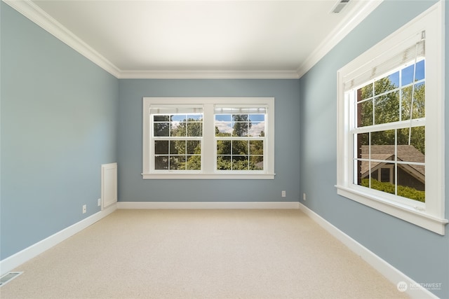 carpeted spare room with ornamental molding