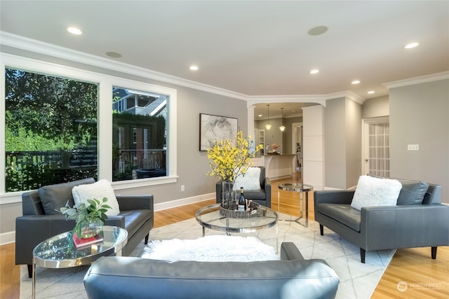 living room with light wood-type flooring and crown molding