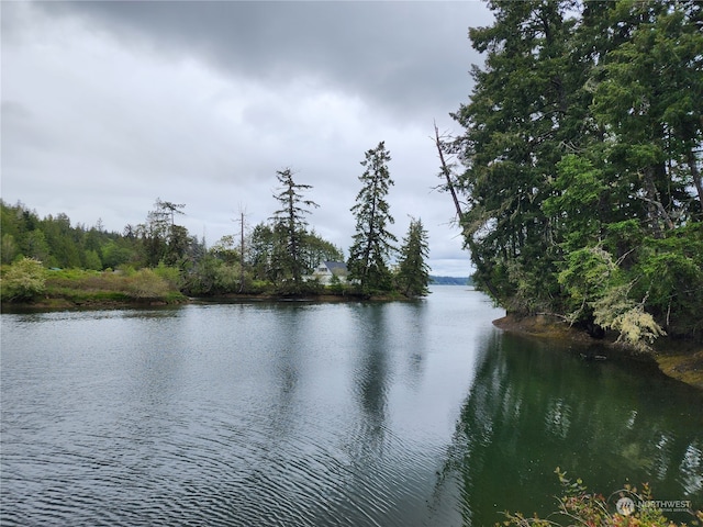 161 E Geist Point Dr, Shelton WA, 98584 land for sale