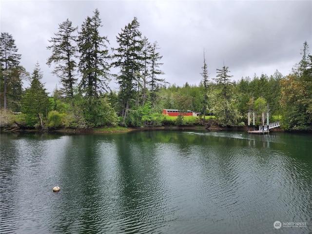 161 E Geist Point Dr, Shelton, WA 98584 - photo 2
