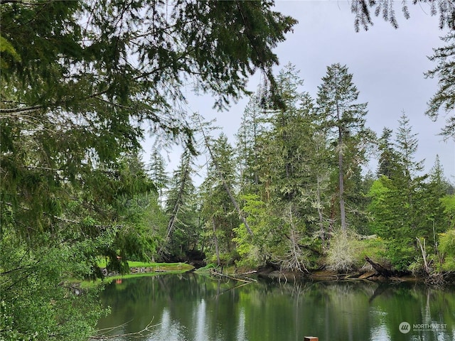 161 E Geist Point Dr, Shelton, WA 98584 - photo 4