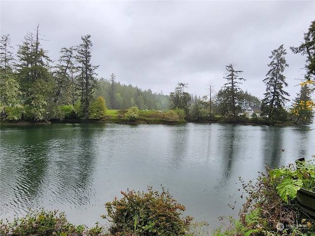 161 E Geist Point Dr, Shelton, WA 98584 - photo 5