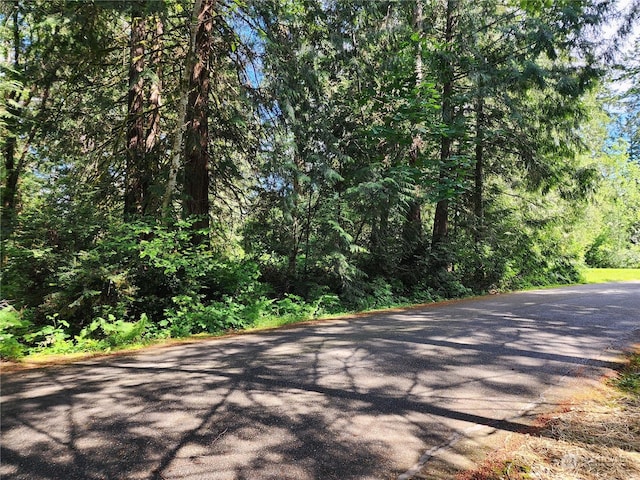 161 E Geist Point Dr, Shelton, WA 98584 - photo 10
