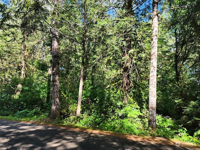 161 E Geist Point Dr, Shelton, WA 98584 - photo 11