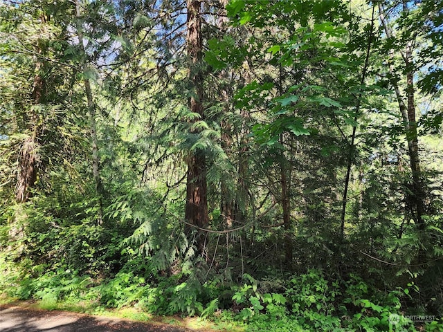 161 E Geist Point Dr, Shelton, WA 98584 - photo 12