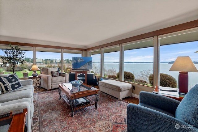 living room featuring hardwood / wood-style floors and a healthy amount of sunlight