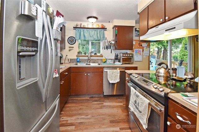 kitchen with a healthy amount of sunlight, sink, light wood-type flooring, and stainless steel appliances