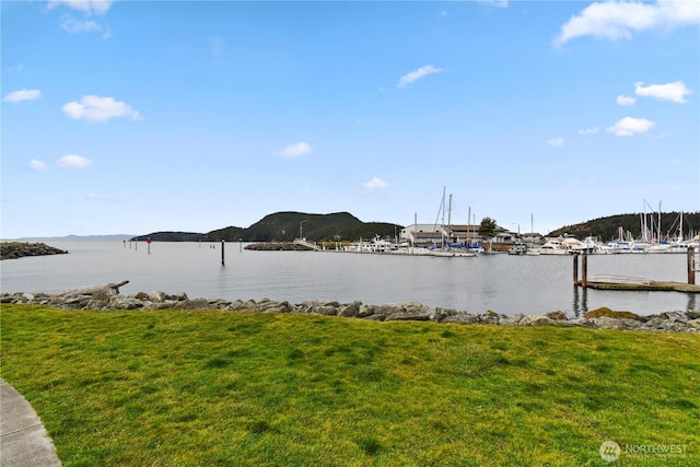 water view featuring a mountain view