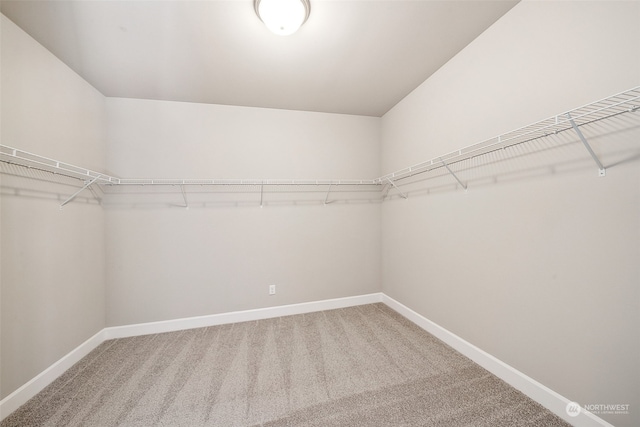 walk in closet featuring carpet