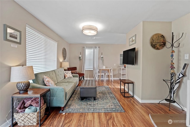 living room with hardwood / wood-style flooring