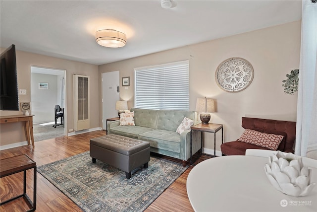 living room with wood-type flooring